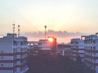风景